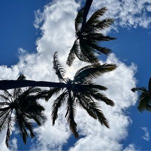 Meet your Posher, Rhea